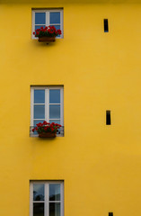Fototapeta na wymiar Yellow House with Three Little Window and Red Flowers