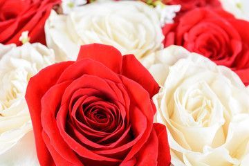 Red And White Roses Wedding Flowers Bouquet