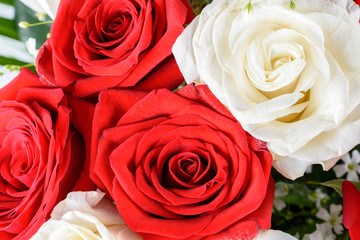 Fototapeta premium Red And White Roses Wedding Flowers Bouquet