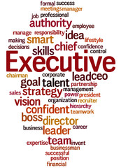 Executive, word cloud concept 3