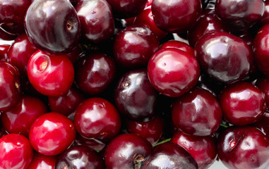 Summer cherry background