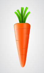 Fresh carrot isolated on white.