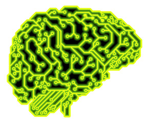Brain Circuit Concept