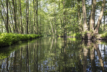 Fototapeta na wymiar By canoe through the beautiful Spreewald