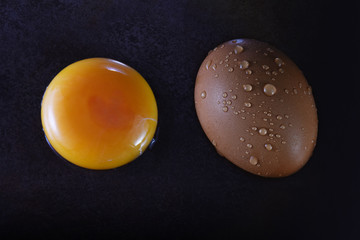 Egg and Yolk