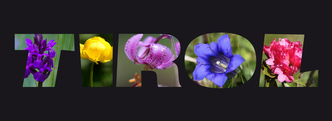 Schriftzug Tirol mit Alpenblumen.