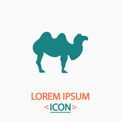 camel computer symbol