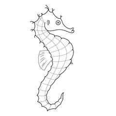 seahorse isolated