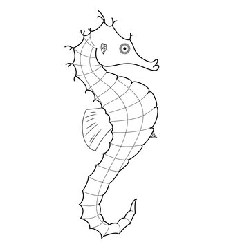 seahorse isolated