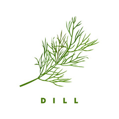 dill herb, food vector illustration, isolated logo - 112537070
