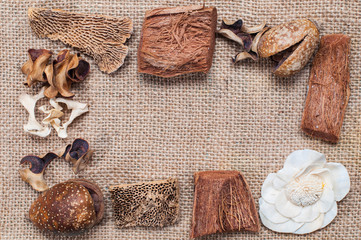 Dry exotic plants lie on the fabric