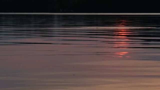Fishing corks splash and bob in water reflecting the setting sun