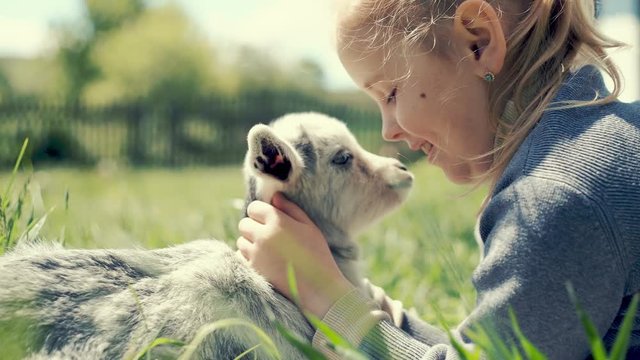 Little girl playing with a goatling outdoors. RAW video record.
