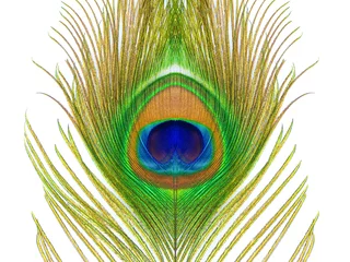 Papier Peint photo Lavable Paon motif coloré sur plume de paon isolé