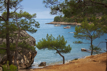 sea bay with yachts and a green pine, Turkey, May 2014