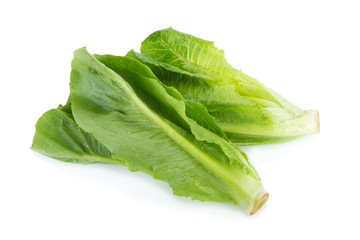 Cos Lettuce Isolated on White Background