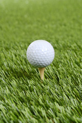 closeup golf ball on wood tee