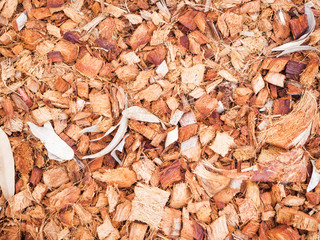 Patterns of coconut fible for soil fertilizer