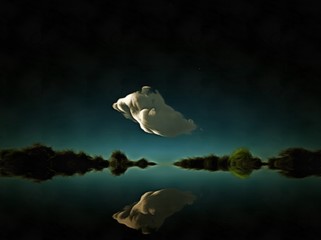 Einzelne Wolke © rolffimages