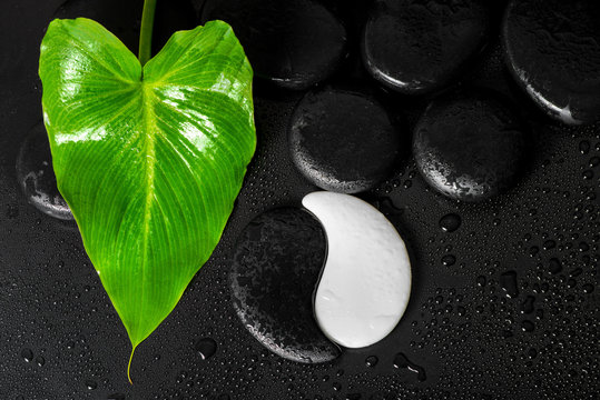 beautiful spa concept of Yin-Yang stone texture and green leaf C