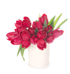 Tulips, isolated on white