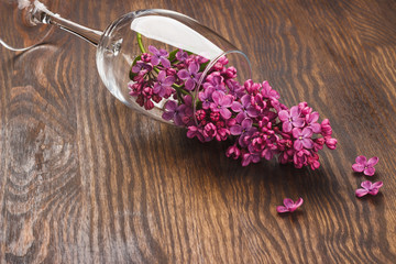 Empty wineglass with violet lilacs