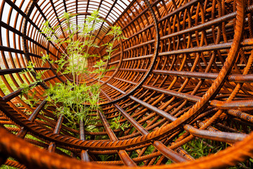 network  reinforcement bar