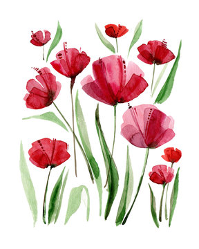 Decorative poppy flowers. Watercolor illustration.