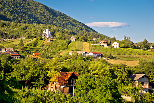 Plesivica village in green nature