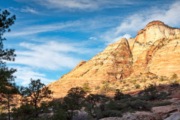 Fototapeta premium Checkerboard Mesa