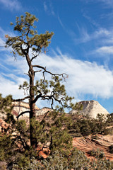 Zion National Park Utah autumn landscape