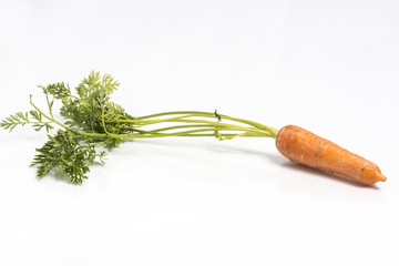 One fresh carrot isolated on white background