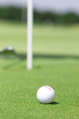 golf field and golfball