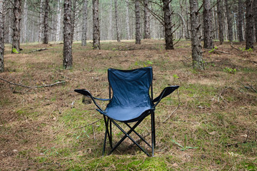 empty chair in the forest