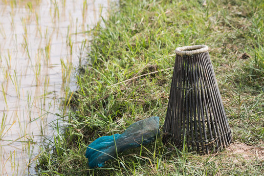Fishing trap in paddy field