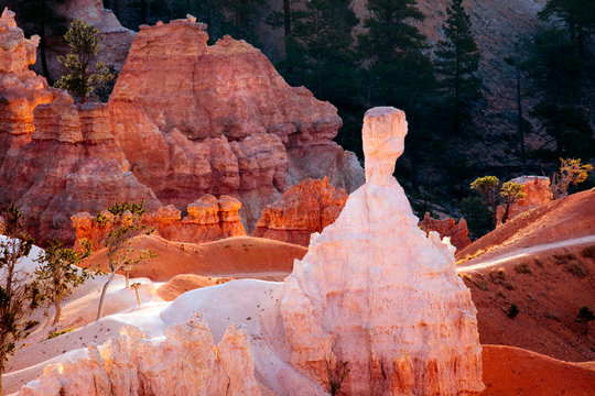 Scenic view of Bryce Canyon Southern Utah USA