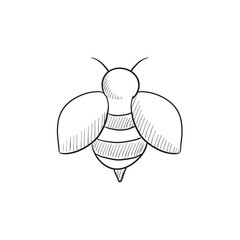 Bee sketch icon