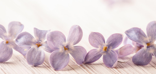beautiful purple floral background with place for text