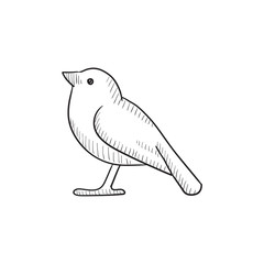 Bird sketch icon.