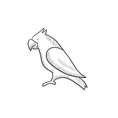 Parrot sketch icon.