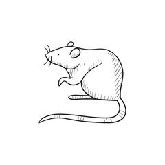 Mouse sketch icon.