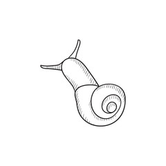 Snail sketch icon.