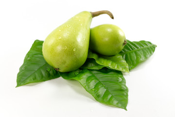 Isolated Green Pear