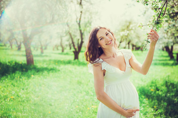 Naklejka na ściany i meble Pregnant woman in the apple orchard is holding tummy and apple blossoming branch