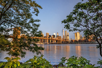 Morning skyline of New York City with Brooklyn Bridge and trees