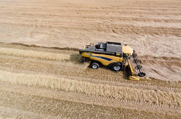 Luftbildaufnahme eines Mähdreschers bei der Ernte