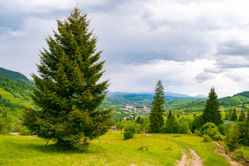 Mountain landscape in the Ukrainian Carpathians