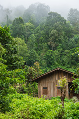 A wooden hut deep inside green forest.