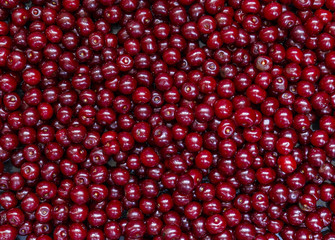 Purified and washed cherries in a box