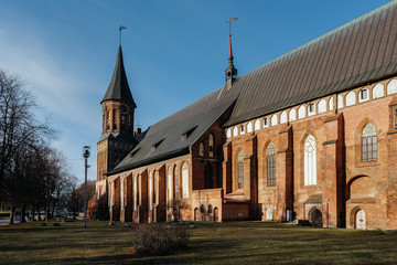 Obraz premium Side of the Konigsberg Cathedral in Kaliningrad.